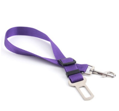 Dog Leash for car rides