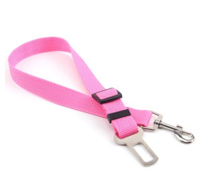 Dog Leash for car rides