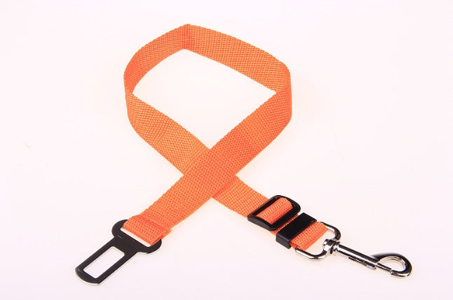 Dog Leash for car rides