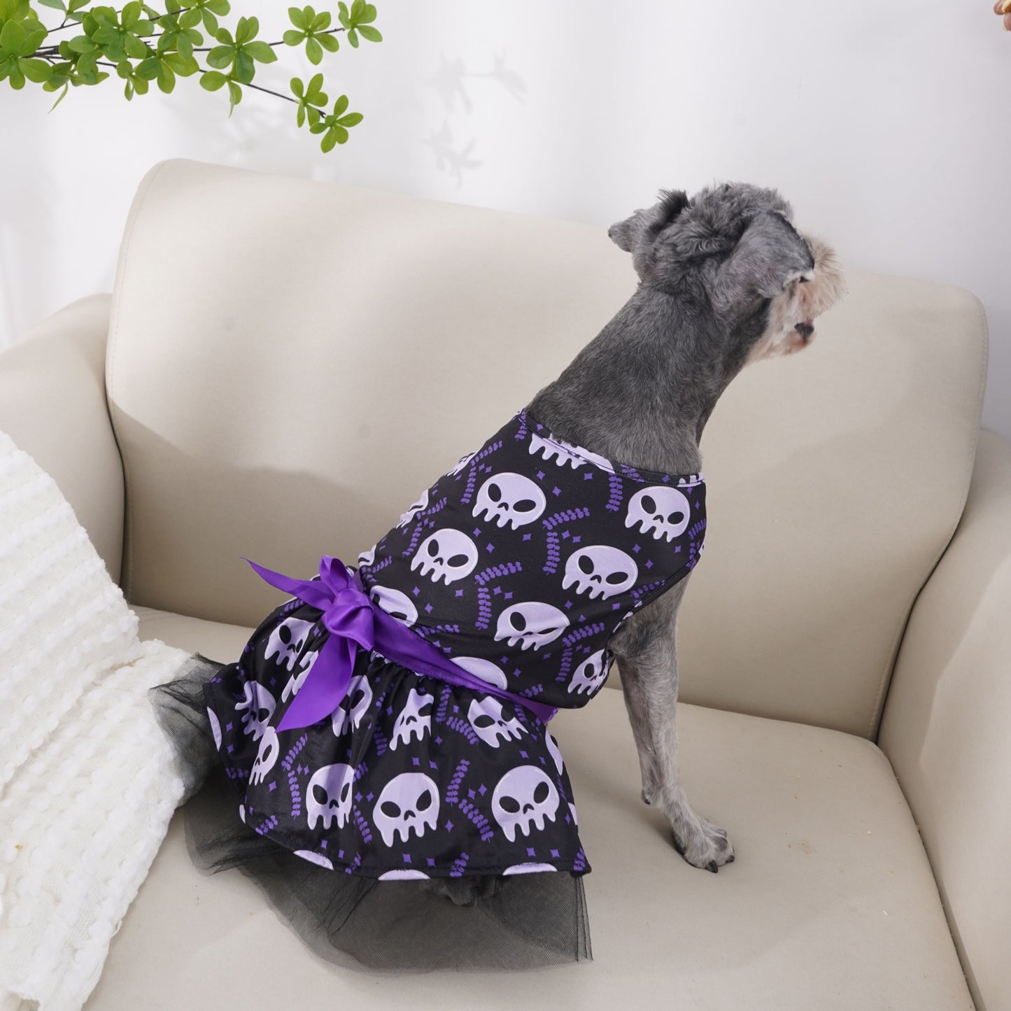 Dog costume for Halloween