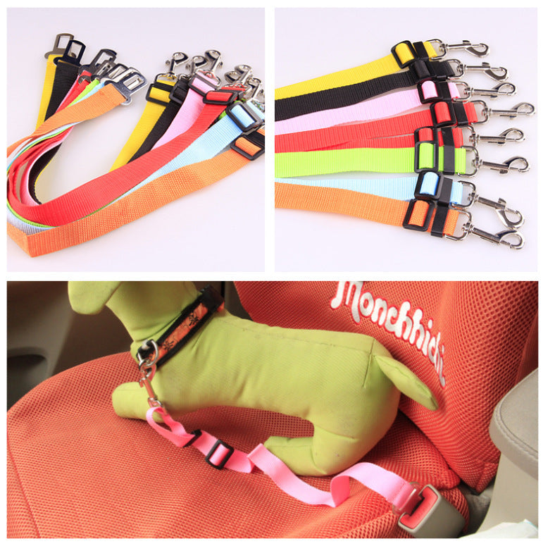 Dog Leash for car rides