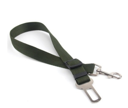 Dog Leash for car rides