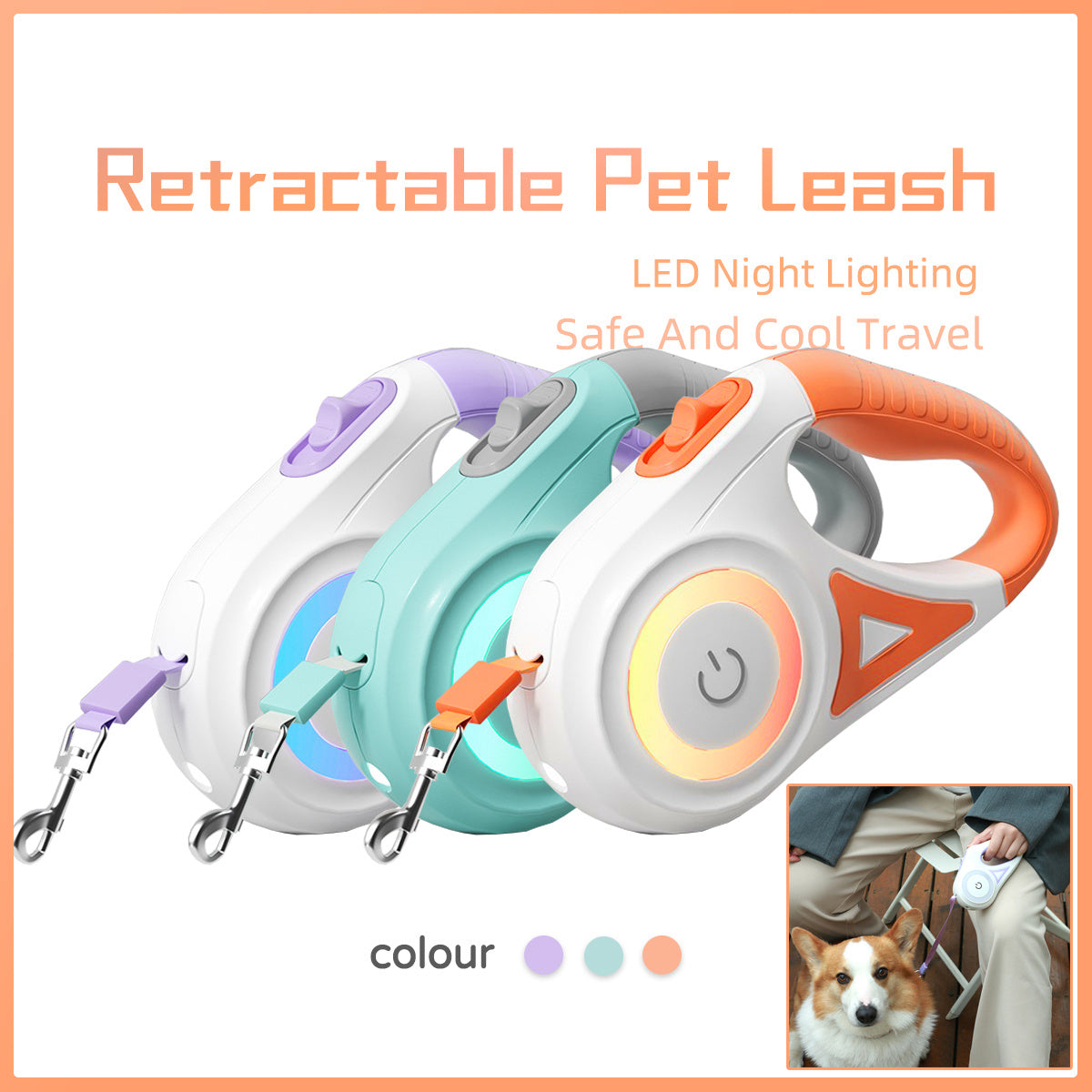 Retractable Dog Leash And Dog Collar Spotlight