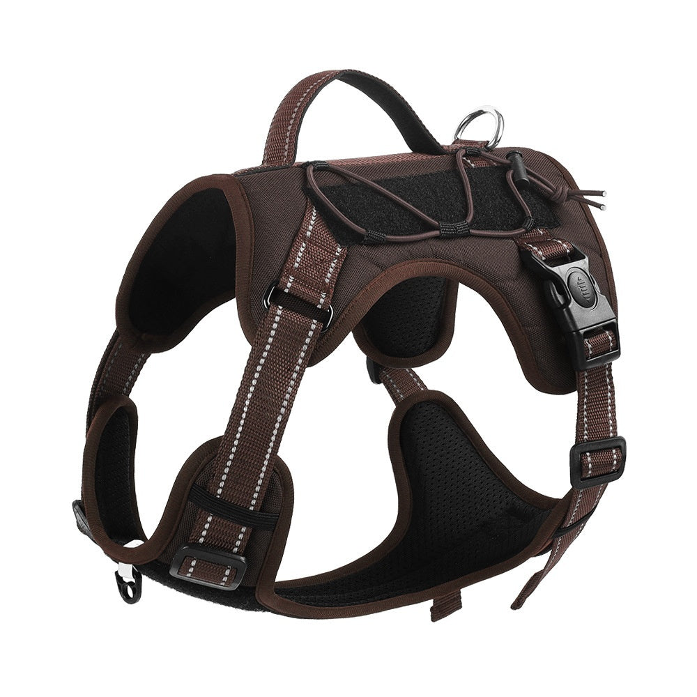 Dog Hand Holding harness