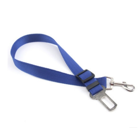 Dog Leash for car rides