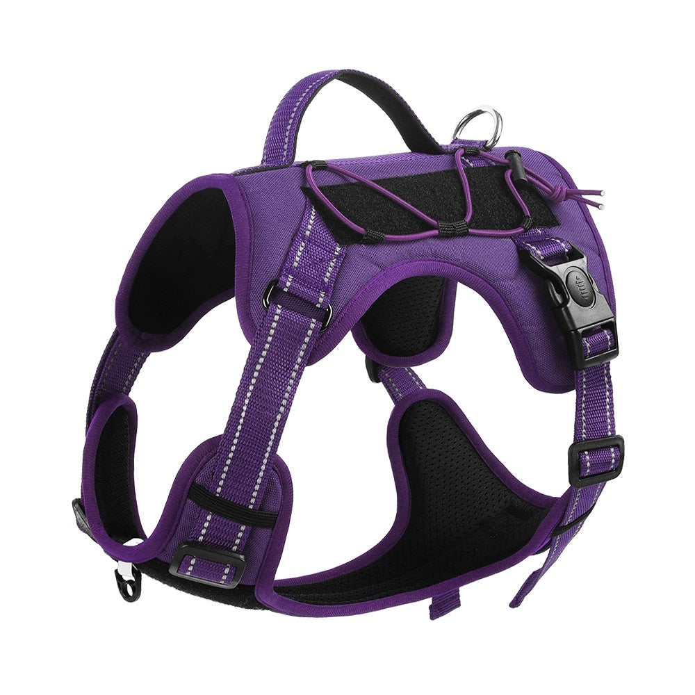 Dog Hand Holding harness