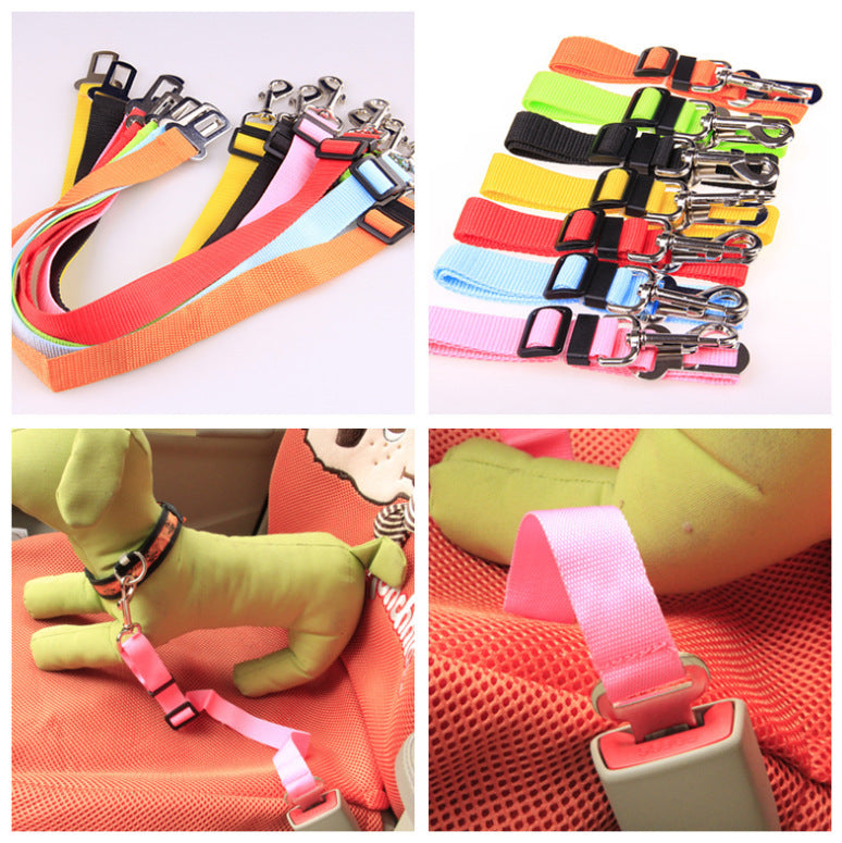 Dog Leash for car rides