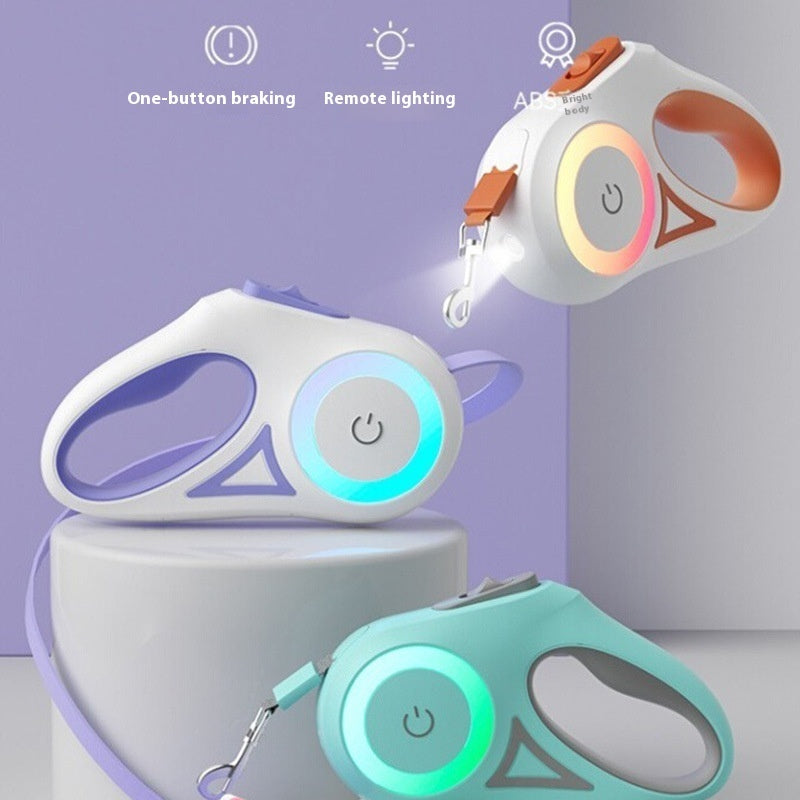 Retractable Dog Leash  And Dog Collar Spotlight