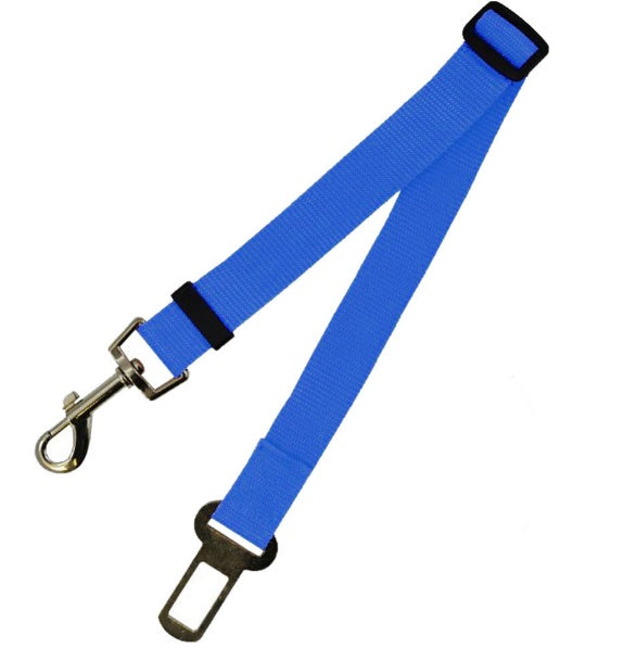 Dog Leash for car rides