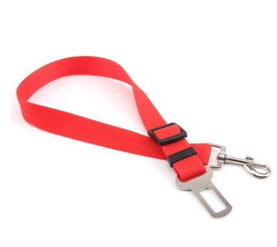 Dog Leash for car rides