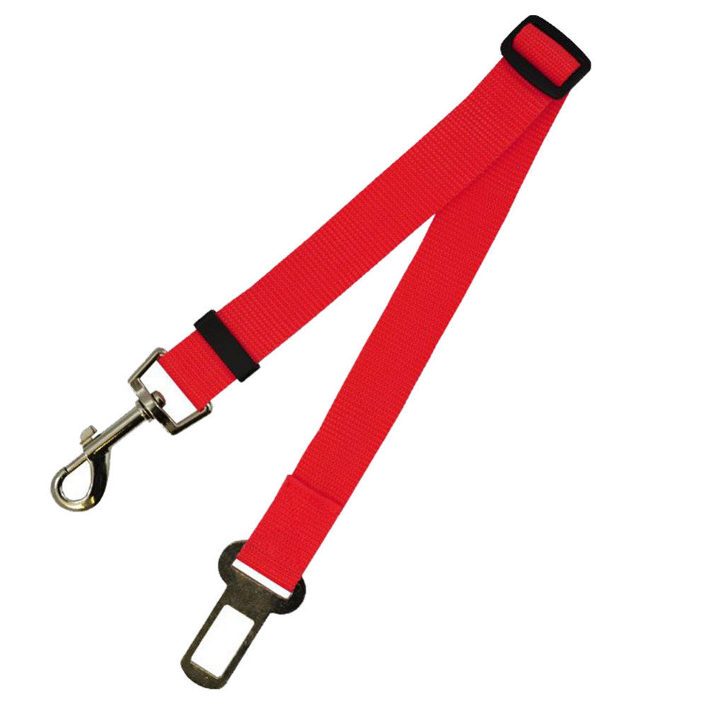 Dog Leash for car rides