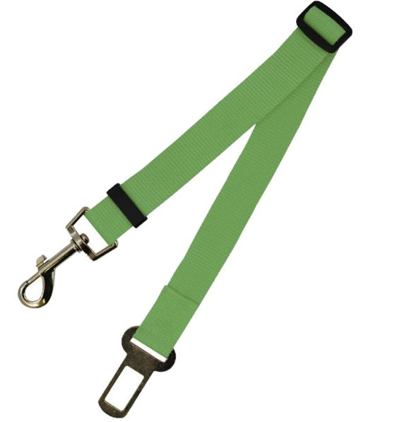Dog Leash for car rides