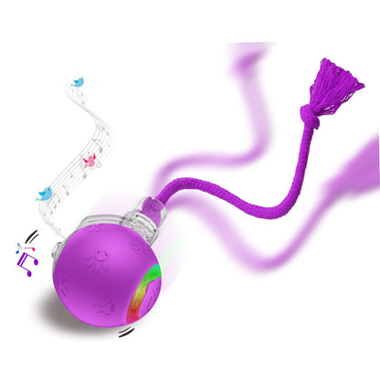 SmartHunt - en smart och självgående kattleksak (vann årets kattleksak år 2024)