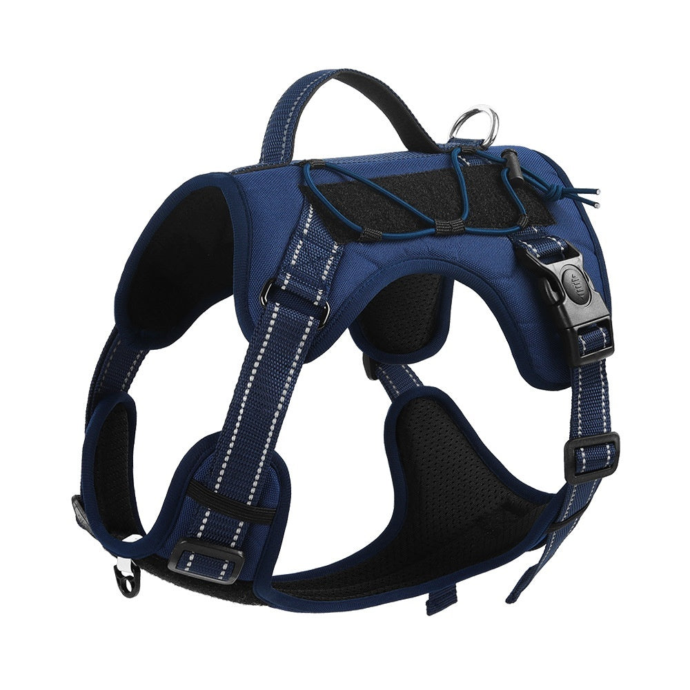 Dog Hand Holding harness