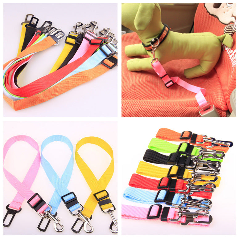 Dog Leash for car rides