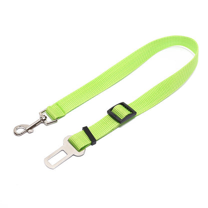 Dog Leash for car rides