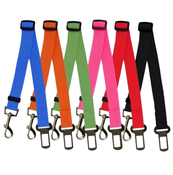 Dog Leash for car rides