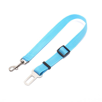 Dog Leash for car rides