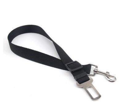 Dog Leash for car rides