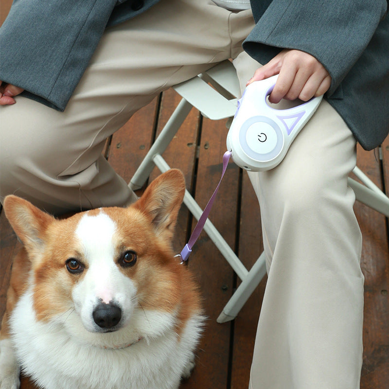 Retractable Dog Leash  And Dog Collar Spotlight