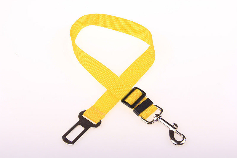 Dog Leash for car rides