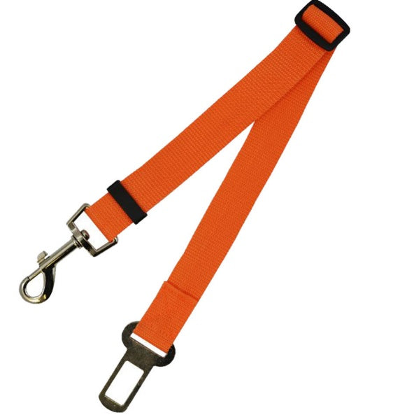 Dog Leash for car rides