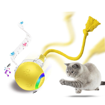 SmartHunt - en smart och självgående kattleksak (vann årets kattleksak år 2024)