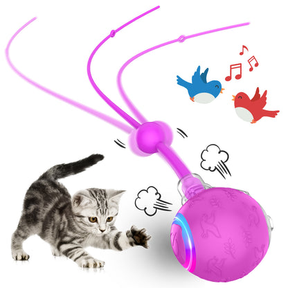 SmartHunt - en smart och självgående kattleksak (vann årets kattleksak år 2024)