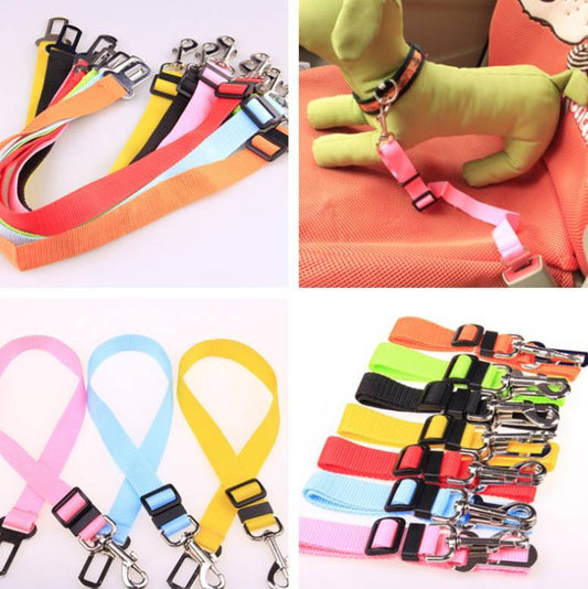 Dog Leash for car rides