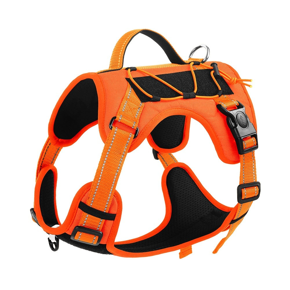 Dog Hand Holding harness