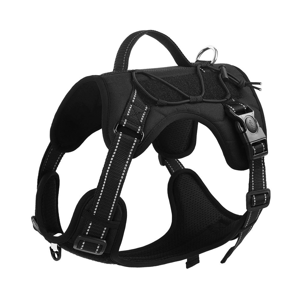 Dog Hand Holding harness