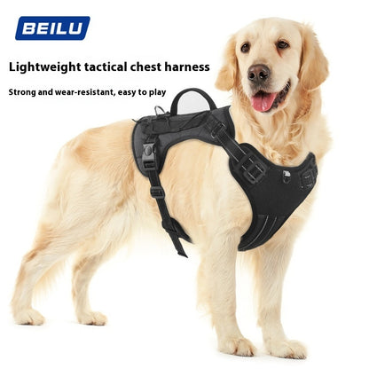 Dog Hand Holding harness