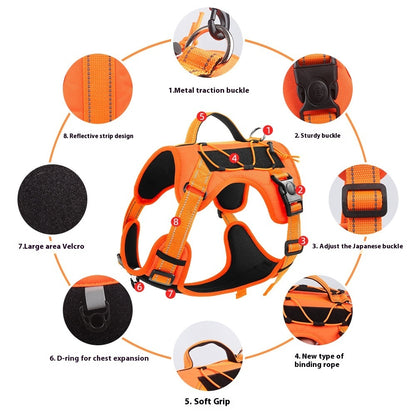 Dog Hand Holding harness