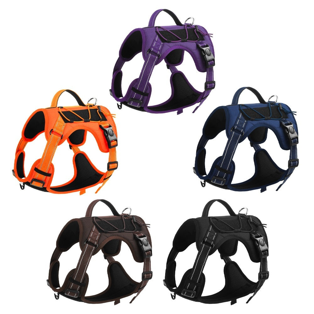 Dog Hand Holding harness